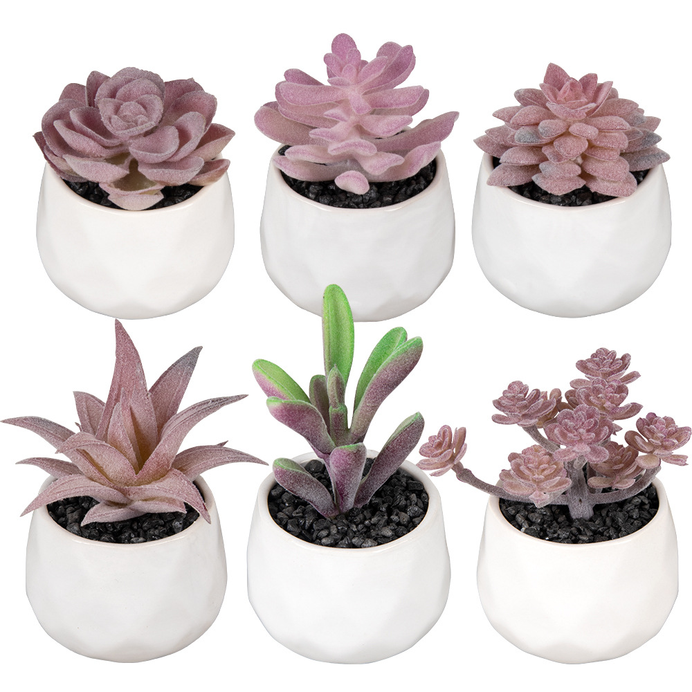 Piedra de pistacho artificial pavimentación de cerámica en forma de diamante mini suculenta en maceta decoración de escritorio Planta artificial bonsai