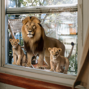 DJ7021�{������С�{���o��N���������p���ҕ�Ҿ��b��N�����N