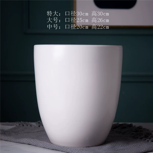 Light light white D model +plastic tray