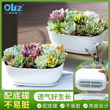 �W�֝����l���⻨�����ϴ�ڏ�������⌣���躆�s���ö���С����