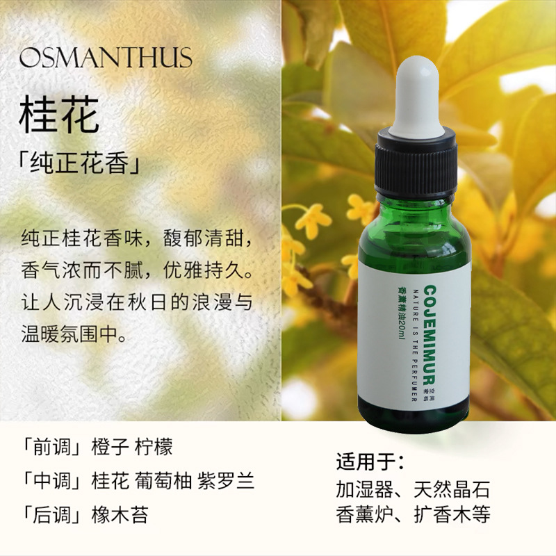 [핫추천] 오스만투스 (계수나무 밑에 앉아있는 등)