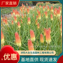 滨l ԮaN滨  ƷNRȫ^쾰̾G