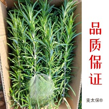 �����r�Ե��㡿��ʳ�ð�����ţ���R�޲�ͪ�Ե����t�Ɵ�����̫��