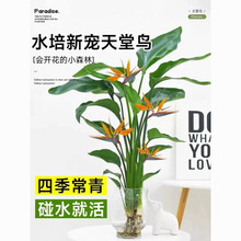 �W�t��ˮ��U��ƿ�����B�҃����B������ȩ�����՚�����С�Gֲ����