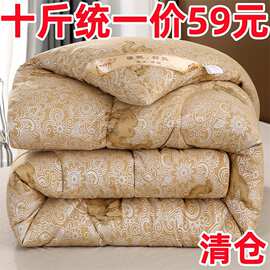 驼纤绒被子冬被加厚保暖双人冬天棉被春秋学生宿舍冬天棉被芯