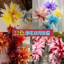���柟���JȔ������ë��Y��ˇ��ɫ�̈���ꐲ������϶�ɫˇ�g�b��
