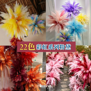 ���柟���JȔ������ë��Y��ˇ��ɫ�̈���ꐲ������϶�ɫˇ�g�b��