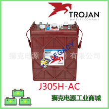美國Trojan蓄電池L16H J305  L16G T125 T-145 T-105 T-875蓄電瓶