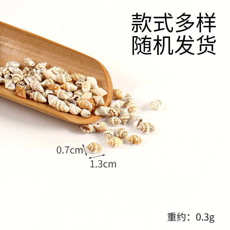 Realistic small food play, toy, DIY