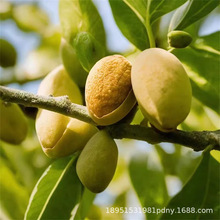 l ԮaN͵ľ ^쾰·@ֹ̾G