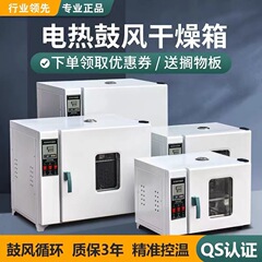 広東電熱恒温送風乾燥箱オーブン工業オーブン実験室高温乾燥箱恒温オーブン