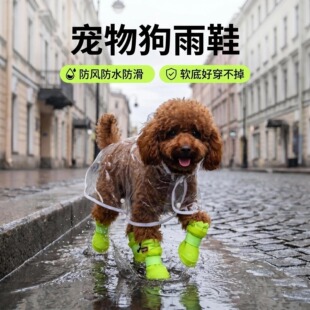 ����������ЬС��̩�ϱ��ܼӽq��ůѩ����zܛ��Ь�׷���4ֻ����