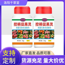 ŷfҴٹ`ٿ؄ҿعѷѹٻ