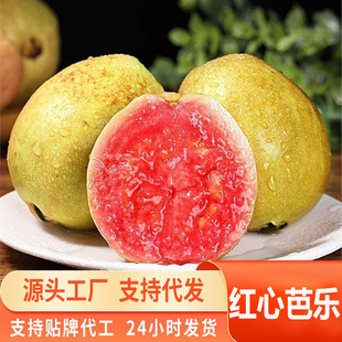 Դ�^һ�����l���ܛŴ�t�İŘ����rˮ����ʯ�����ܛŴ��֬�t�͘�