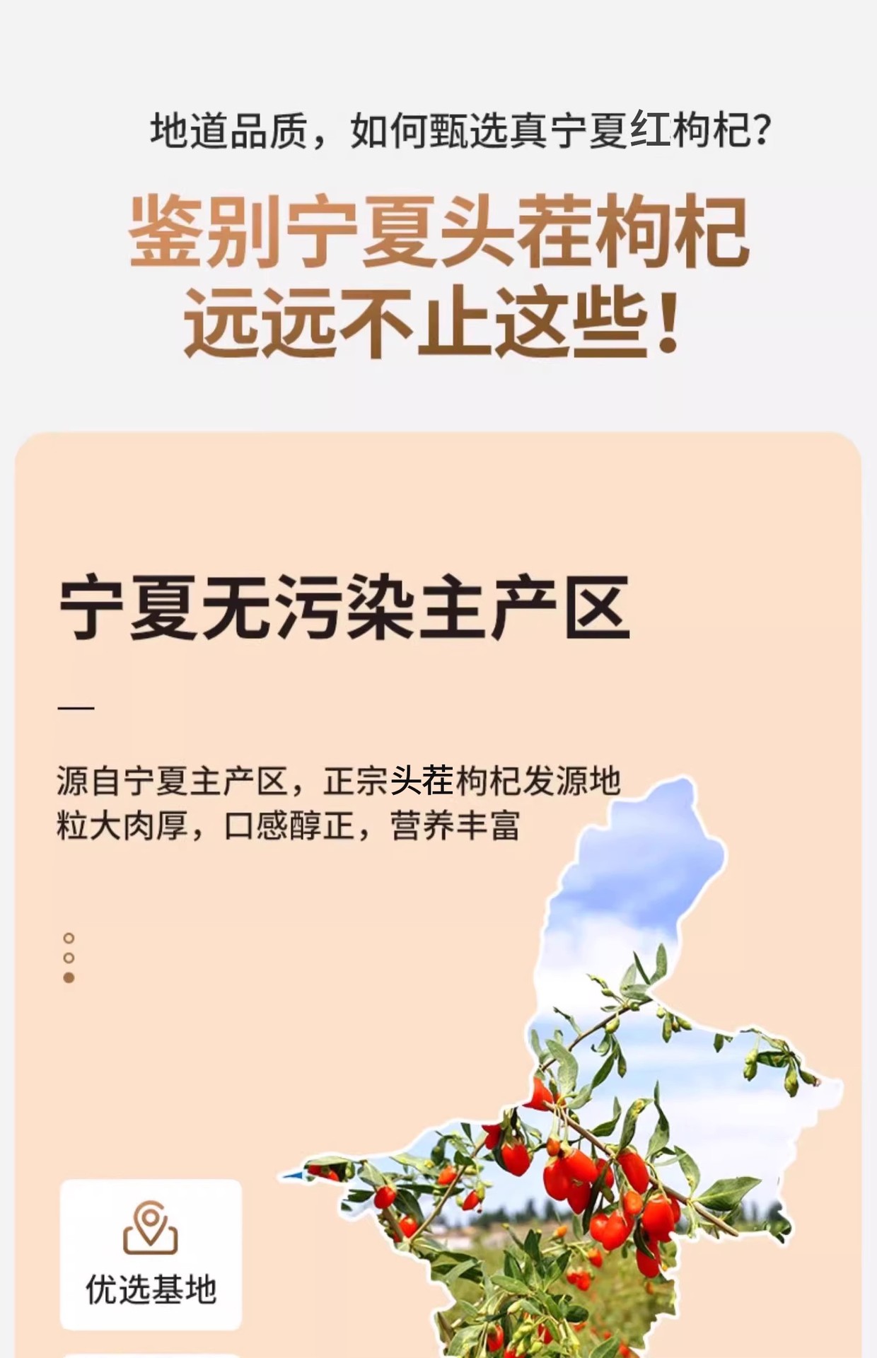 Premium Ningxia Goji Berries Gou Qi Zi 500g Dried Red Wolfberry Fruit for Tea Soup and Wine key features