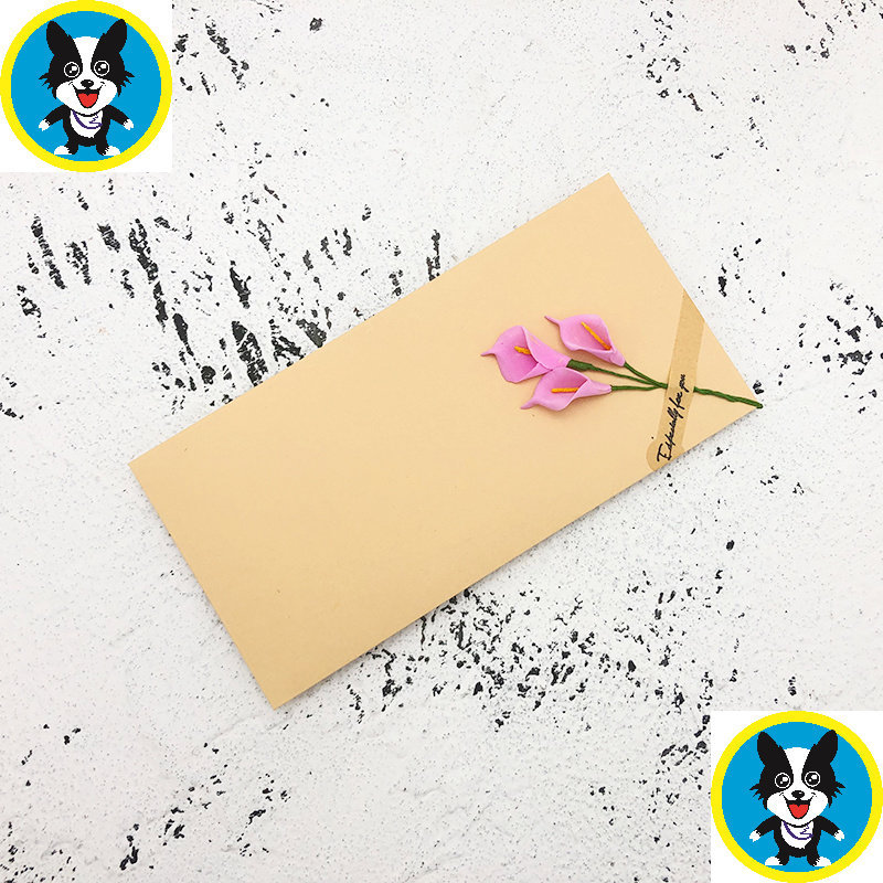 智贝SKU图_13信封信纸套装干花文艺小清新创意diy牛皮