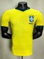 26-27 brazil home