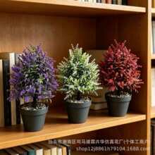 �羳���R�d������_޹�²ݵز�����͏d����Gֲ�b�Ʒ�ٻ��[��