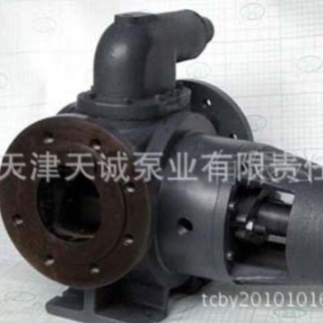 转子沥青泵TNL/保温泵/内齿泵/高粘度泵/不锈钢泵/人字齿泵