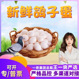 苹果;橙;其他水果