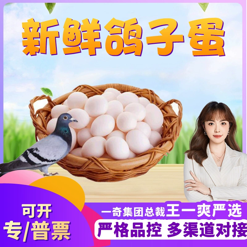【Тщательно отобранные】Яйца голуби, выращенные на ферме, свободно живущие, 10 свежих яиц для доставки, яйца голуби, выращенные на открытом воздухе, не куриные яйца в зеленой скорлупе.