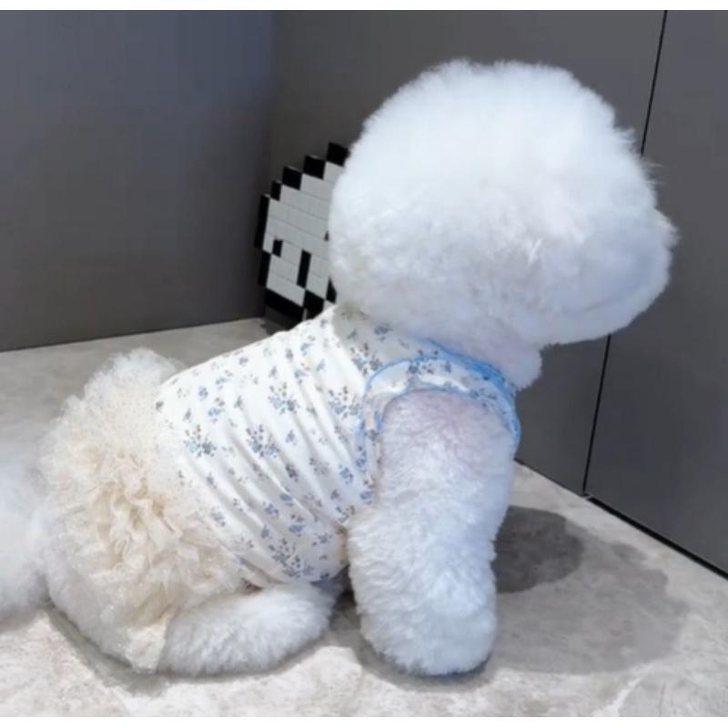 Breathable Lace Suspender Skirt Pet Dog Clothes Princess Style Floral Skirt Teddy Bichon Puffy Skirt Cool Clothing Breathable Lace Suspender Skirt Pet Dog Clothes Princess Style Floral Skirt Teddy Bichon Puffy Skirt Cool Clothing
