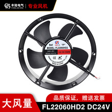 ½ֱ24VŷFL2206HD2 22״20060/24V