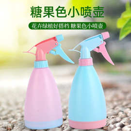 园艺浇花糖果色小喷壶多肉植物喷水壶手压式喷雾瓶浇花消毒洒水壶