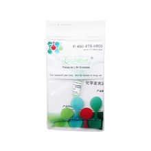 5× Loading Buffer (Colorless)（EMSA/Gel-Shift上样缓冲液(无