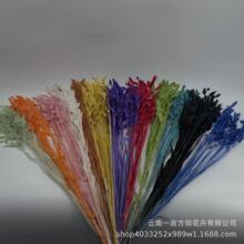������С�ֲݡ��ɻ������uʯ��ins�L�Ӽ��b�DIY�������l�r�л�