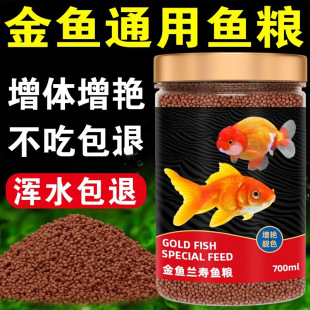 Goldfish Feed for Lan Shou, Small Floating Pellets for Thai Lionhead Fish, General Fish Feed for Goldfish