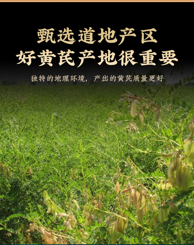 Huang Qi Powder (Astragalus membranaceus) — Cell-Wall-Broken Fine Powder, 100g Jar key features