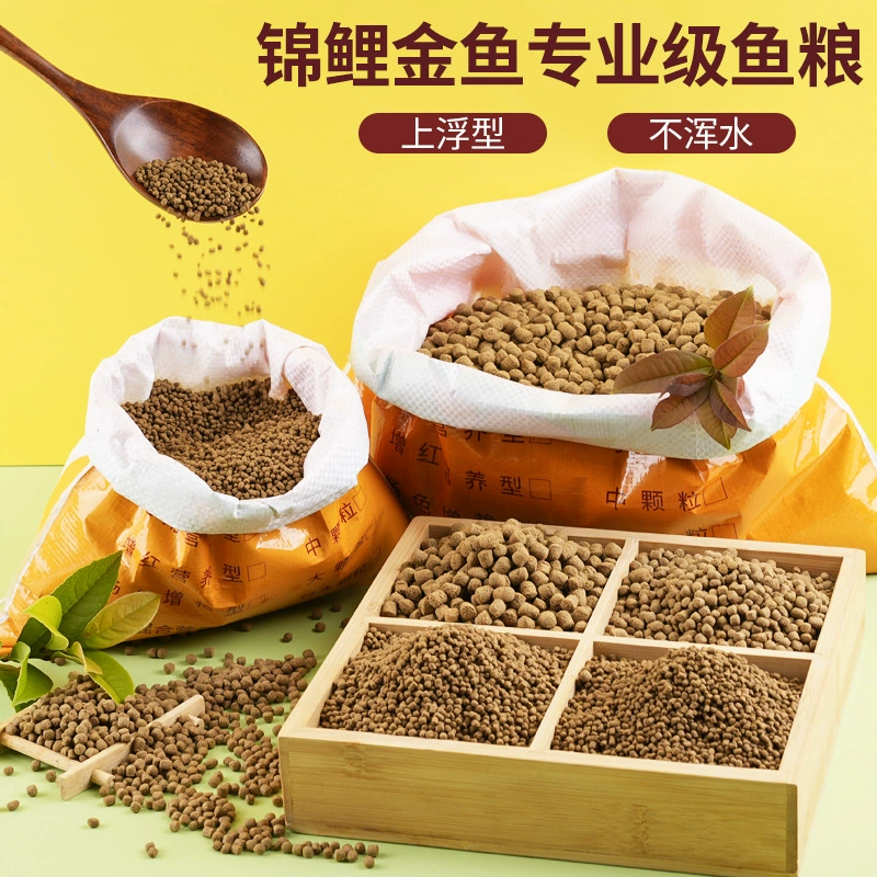 Koi fish feed goldfish Lanshou fish food household ornamental fish general nutrition special fish food non-turbid water granular type