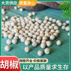 供应跑江湖地摊展销会白胡椒 批发散装调料黑胡椒 好货胡椒粒