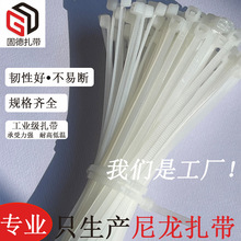 �V�|��������5*600���L�Ӻ���ɏ����������ɫ�����������S�F؛