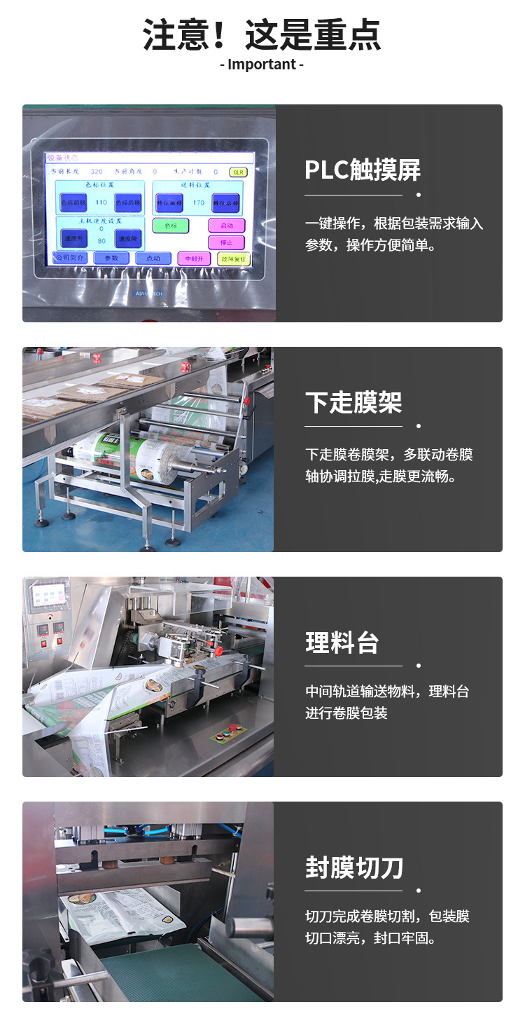 ZC-350B下走膜枕式包装机_03.jpg