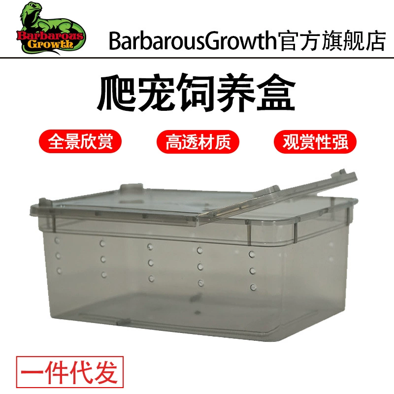 Коробка для кормления рептилий Паук Рогатая лягушка Улитка Хомяк Шоугун Восхождение Коробка для домашних животных Черепаха Танк Отшельник Краб Бак для кормления Подонки Коробка