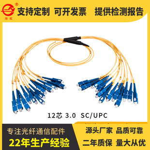 Data Room Ultra-dense Cluster Jumper 3.0 MPO 8-core 12-core Cluster Jumper Branch Cable Jumper Tail