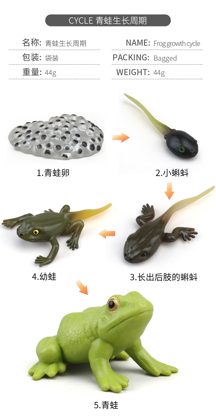 生长周期内页_08