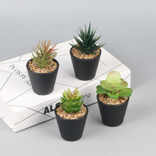 ֲ辰 滨[愓[ ES1219-6