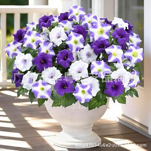 �羳���R�d�Wʽ�͹��_�R�����栿ţ���[���������Ȼ��b͏d�Ҿ�
