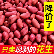 花生新货红皮米斤无壳生四粒生米红衣红花生米农家特产