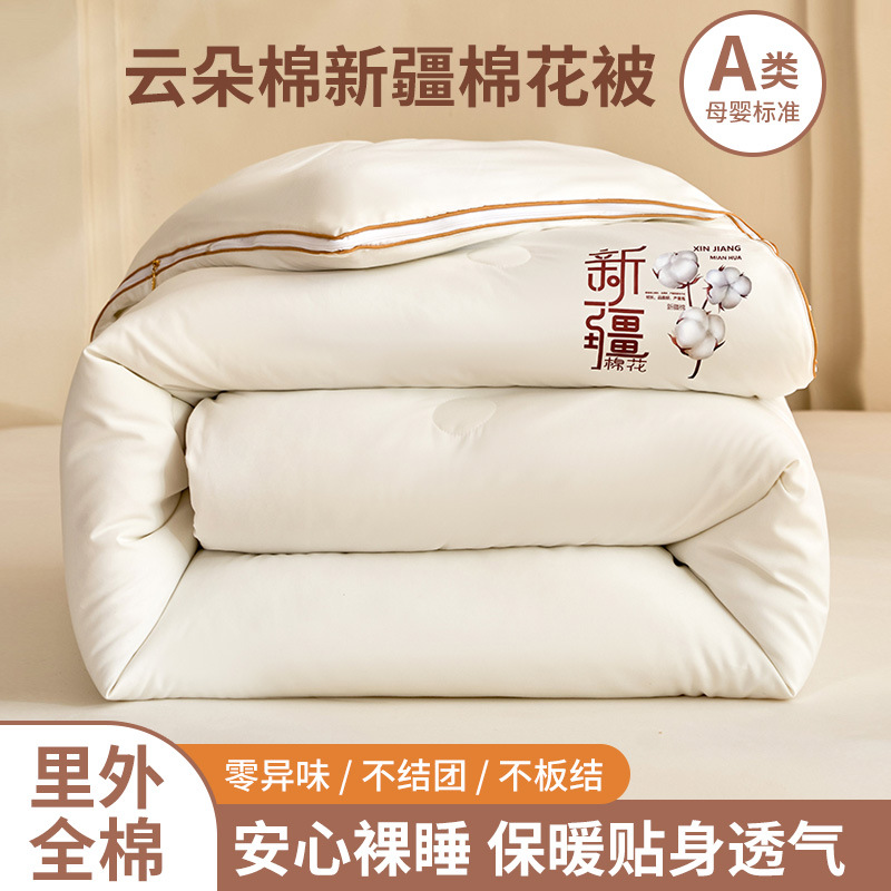 Xinjiang Cotton Quilt Core, All-Season Quilt, Winter Cotton Quilt, Thickened for Warmth in Winter, Single-Person Spring and Autumn Quilt, Letter Quilt Core