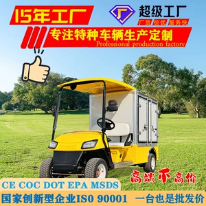 2-Seat Electric Golf Cart Scenic Tourist Sightseeing Car Food Delivery Car Electric Golf Cart