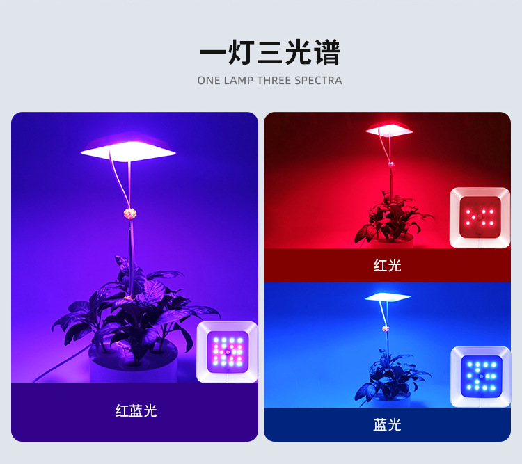 详情页切片_02 - 副本.jpg