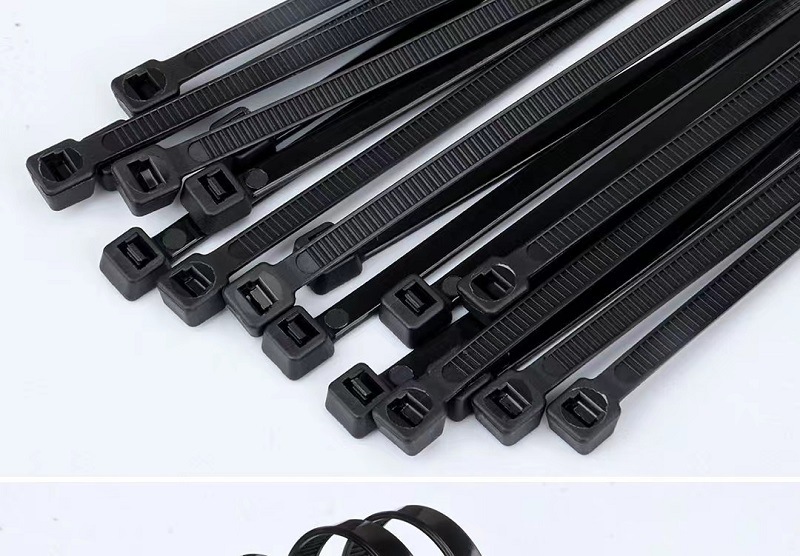 微信图片_20230812082546