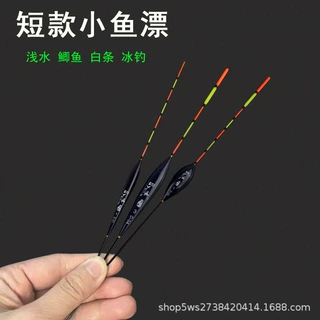 浅水小浮漂短鱼漂加粗醒目尾鲫鲤鱼漂虾米白条黑坑大棚冰钓纳米漂