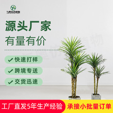 ���W�L����ֲ��͏d������Ѫ�F�������҃��쾰�b��W����Gֲ