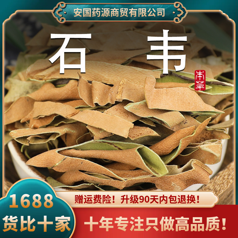 石韦中药材新鲜石苇草石韦草石韦茶石伟草石兰非野生干货打石韦粉