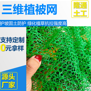 ߅�¾G�����Sֲ���W�S��ֲ�ݹ������S�����W�|�ӽ�HDPE���Sֲ���W